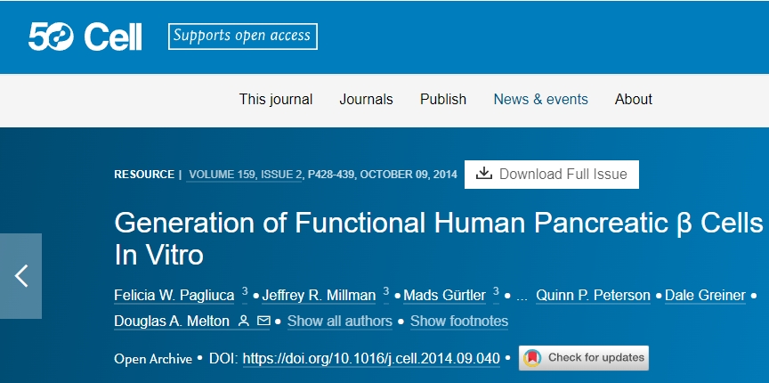 體外生成功能性人類胰腺 β 細胞 體外生成功能性人類胰腺 β 細胞