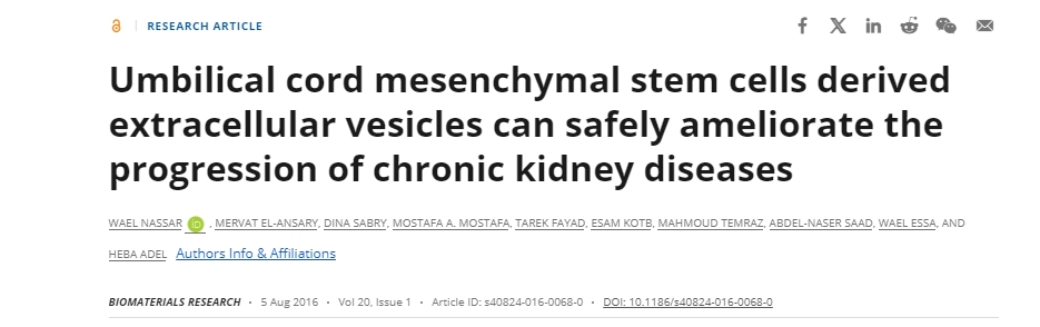 臍帶間充質(zhì)干細(xì)胞衍生的細(xì)胞外囊泡可以安全地改善慢性腎臟疾病的進(jìn)展