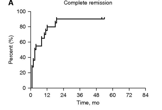 隊列中患者的完全緩解、腎臟存活（見圖3A，圖3B）