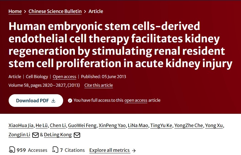 人類胚胎干細(xì)胞衍生的內(nèi)皮細(xì)胞療法通過(guò)刺激急性腎損傷中腎臟駐留干細(xì)胞增殖促進(jìn)腎臟再生