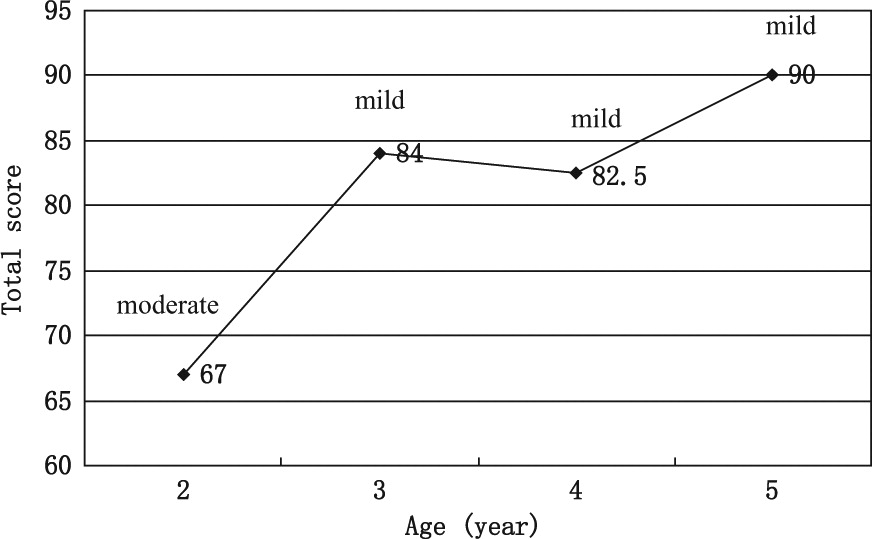 圖4.綜合功能評估總分。