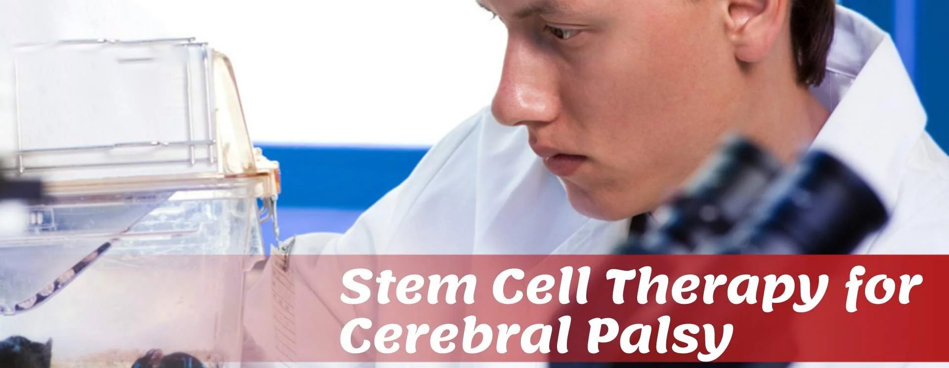 2019-2024年干細胞治療腦癱的臨床研究進展 2019-2024年干細胞治療腦癱的臨床研究進展