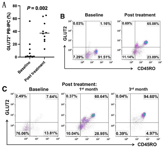 圖1：接受干細胞教育療法治療后，患者中GLUT2+CD45RO+PB-IPC 的百分比增加