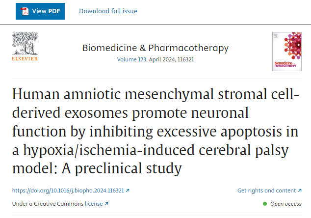 人羊膜間充質(zhì)干細(xì)胞來源的外泌體通過抑制缺氧/缺血誘導(dǎo)的腦癱模型中的過度細(xì)胞凋亡來促進(jìn)神經(jīng)元功能:一項(xiàng)臨床前研究 人羊膜間充質(zhì)干細(xì)胞來源的外泌體通過抑制缺氧/缺血誘導(dǎo)的腦癱模型中的過度細(xì)胞凋亡來促進(jìn)神經(jīng)元功能:一項(xiàng)臨床前研究