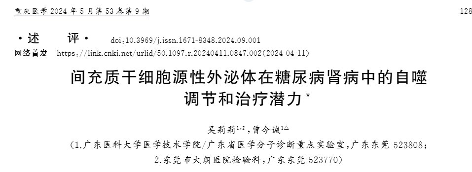 間充質干細胞源性外泌體在糖尿病腎病中的自噬調節和治療潛力 間充質干細胞源性外泌體在糖尿病腎病中的自噬調節和治療潛力