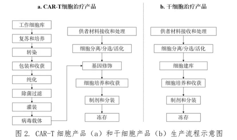 圖2.CAR-T細胞產(chǎn)品(a)和干細胞產(chǎn)品(b)生產(chǎn)流程示意圖