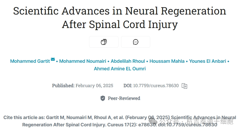 脊髓損傷后神經(jīng)再生的科學(xué)進(jìn)展