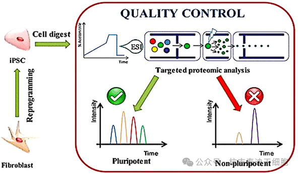 圖5：描述了一種基于蛋白質(zhì)組學(xué)的方法來篩選誘導(dǎo)性多能干細(xì)胞。