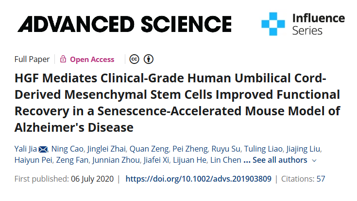 HGF 介導臨床級人臍帶間充質干細胞改善阿爾茨海默病衰老加速小鼠模型的功能恢復