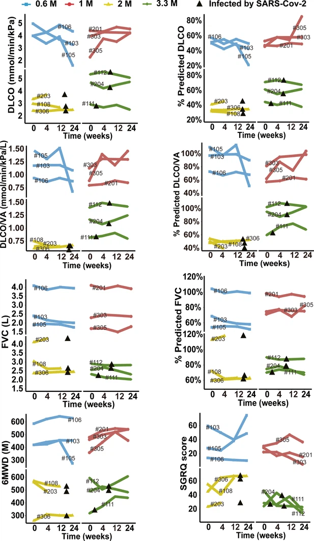 圖3-圖補充1:細(xì)胞治療后不同時間點預(yù)測DLCO%、DLCO、預(yù)測DLCO/VA%、DLCO/VA、預(yù)測FVC%、FVC、6MWD及SGRQ評分的變化。 圖3-圖補充1:細(xì)胞治療后不同時間點預(yù)測DLCO%、DLCO、預(yù)測DLCO/VA%、DLCO/VA、預(yù)測FVC%、FVC、6MWD及SGRQ評分的變化。