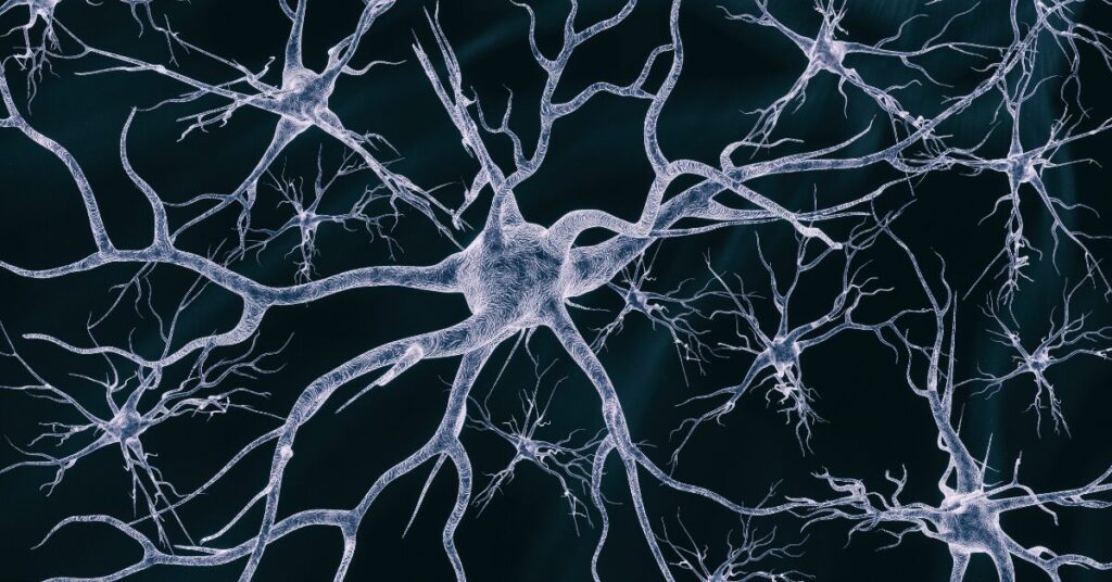 神經干細胞移植在神經退行性疾病治療和藥物開發中的作用 神經干細胞移植在神經退行性疾病治療和藥物開發中的作用