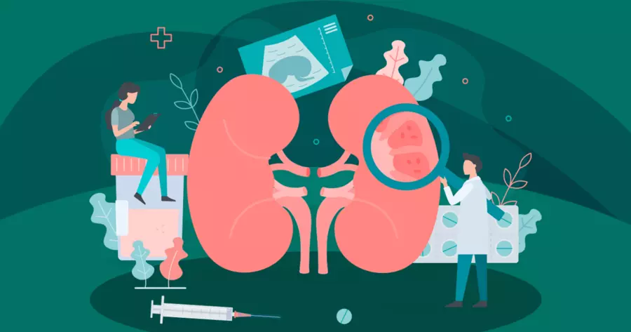 干細胞治療腎病：為何早晚期療效差異懸殊？關鍵機制揭秘