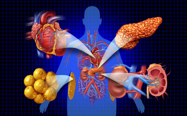 新視角：優化間充質干細胞治療糖尿病腎病療效的方式有哪些？