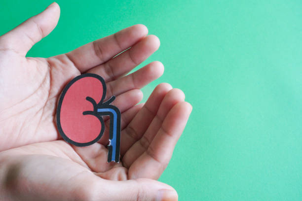 自體vs異體：不同來源的干細胞治療腎病患者的安全性有區別嗎？