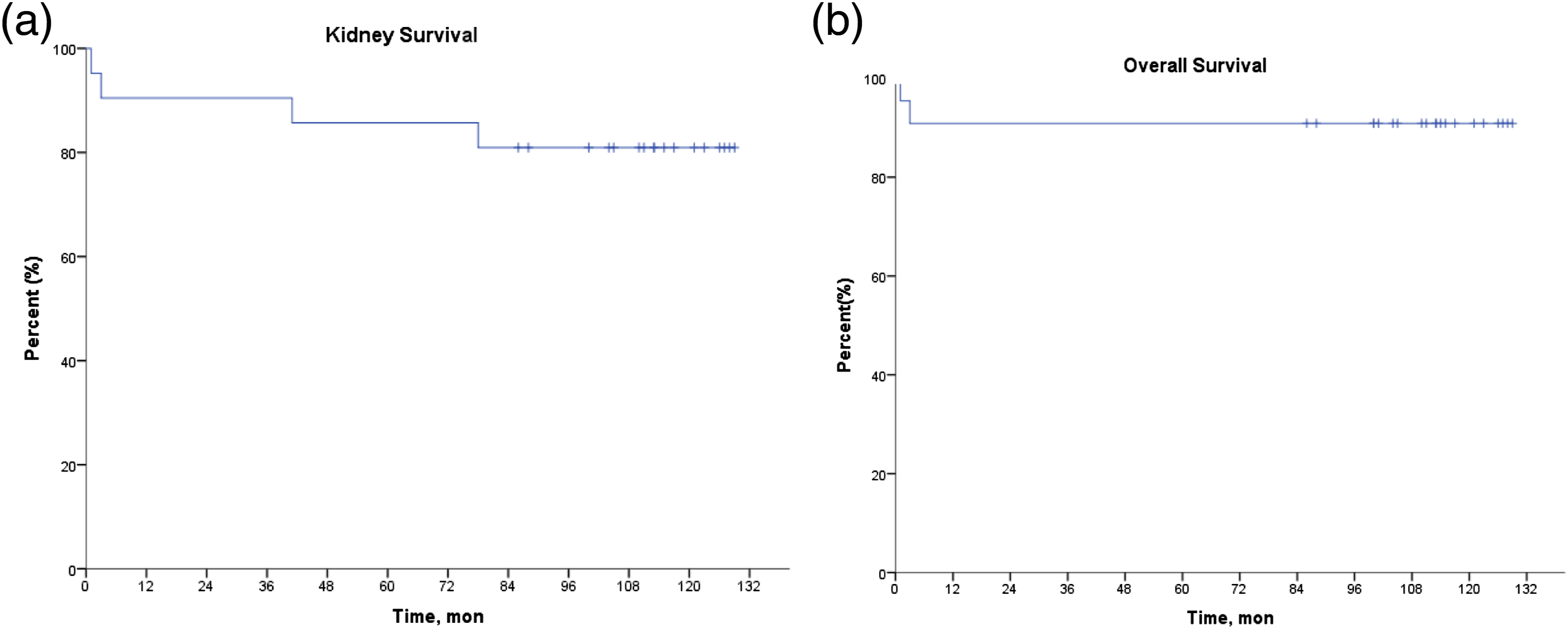 圖1：研究中患者的腎臟生存率和總生存率。