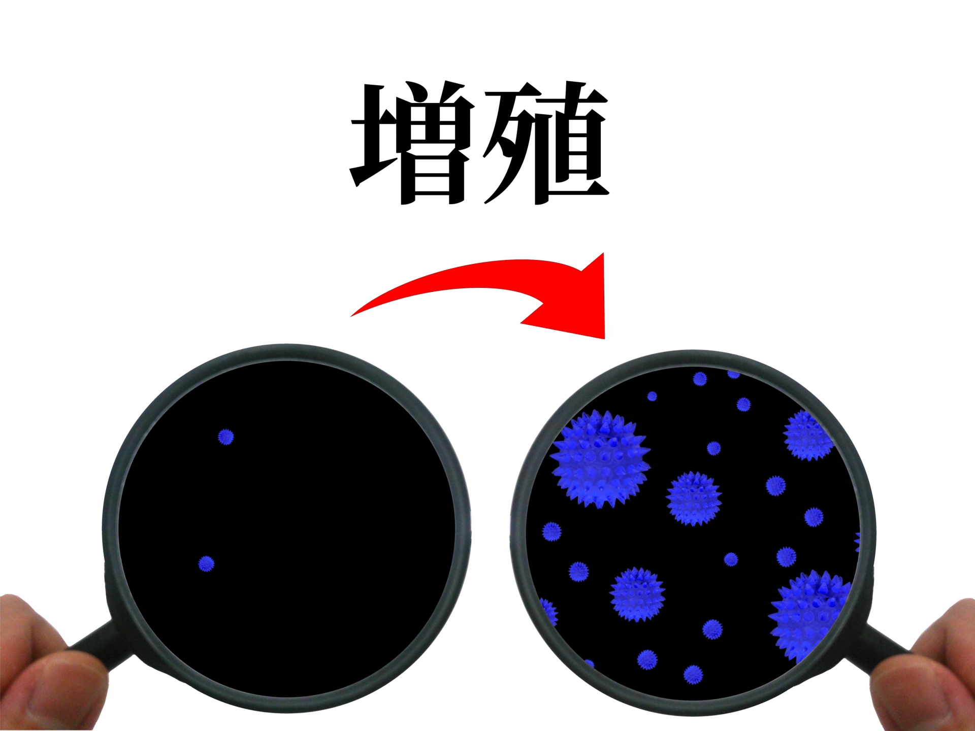 神經(jīng)膠質(zhì)細(xì)胞