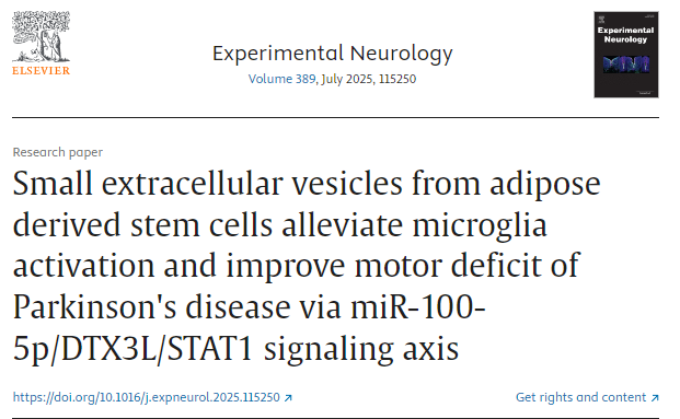 脂肪來源干細胞的小細胞外囊泡通過 miR-100-5p/DTX3L/STAT1 信號軸減輕小膠質細胞活化并改善帕金森病的運動障礙