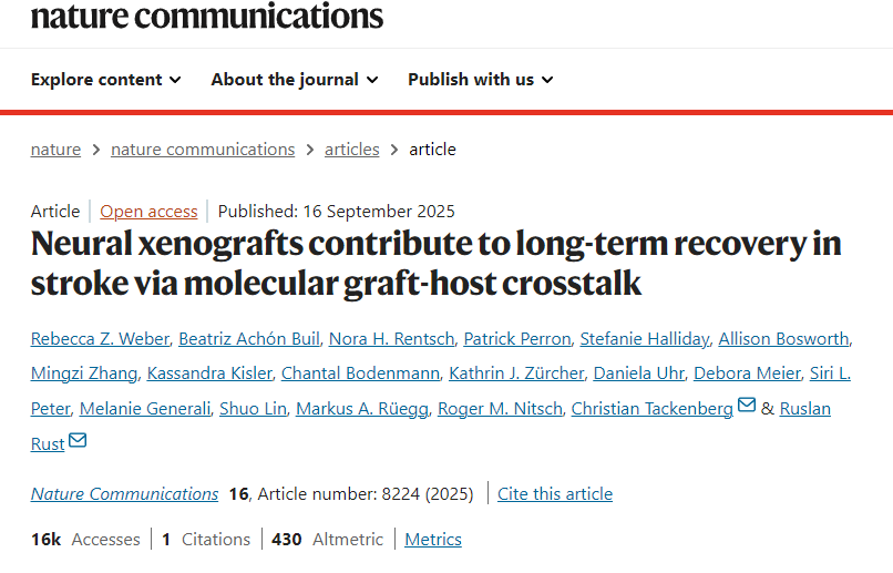 神經(jīng)異種移植通過分子移植物-宿主相互作用促進(jìn)中風(fēng)后的長期康復(fù)