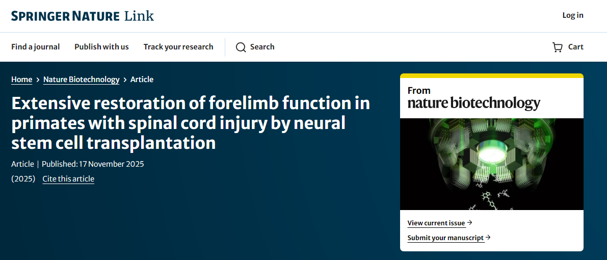 通過神經(jīng)干細(xì)胞移植，靈長(zhǎng)類動(dòng)物脊髓損傷后前肢功能得到廣泛恢復(fù)