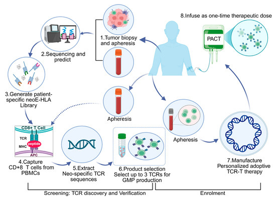 圖5：為每位患者生成neoTCR產品