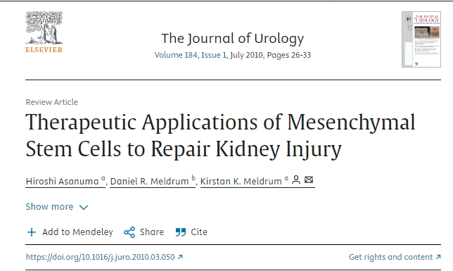 間充質(zhì)干細(xì)胞在修復(fù)腎臟損傷的治療應(yīng)用 間充質(zhì)干細(xì)胞在修復(fù)腎臟損傷的治療應(yīng)用