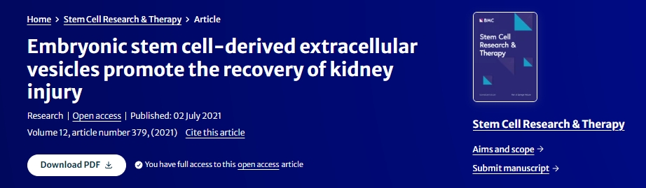 胚胎干細(xì)胞來(lái)源的細(xì)胞外囊泡促進(jìn)腎臟損傷的恢復(fù) 胚胎干細(xì)胞來(lái)源的細(xì)胞外囊泡促進(jìn)腎臟損傷的恢復(fù)