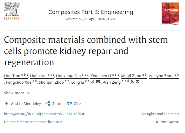 復(fù)合材料結(jié)合干細(xì)胞促進(jìn)腎臟修復(fù)再生 復(fù)合材料結(jié)合干細(xì)胞促進(jìn)腎臟修復(fù)再生