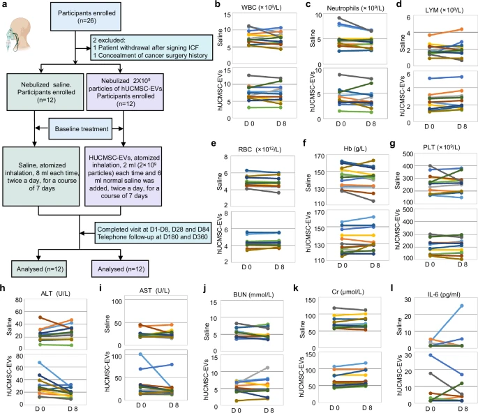 圖4：霧化hUCMSC-EVs對肺纖維化患者的臨床安全性。