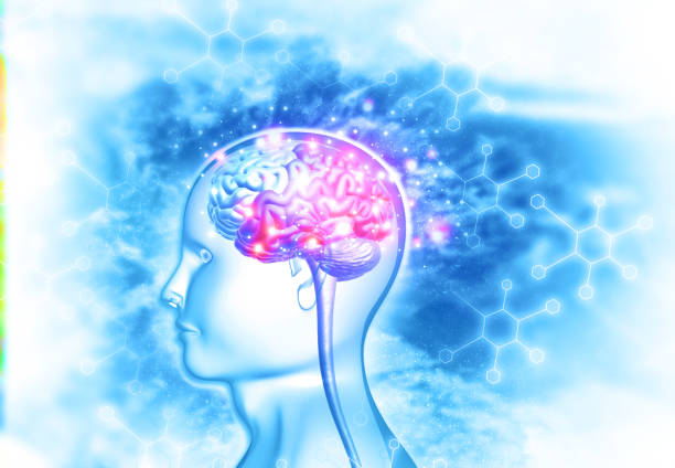 腦出血治療新希望:間充質(zhì)干細胞治療臨床安全有效?最新證據(jù)來了 腦出血治療新希望:間充質(zhì)干細胞治療臨床安全有效?最新證據(jù)來了