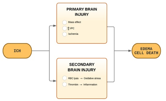 圖1:ICH病理生理學(xué)。 圖1:ICH病理生理學(xué)。