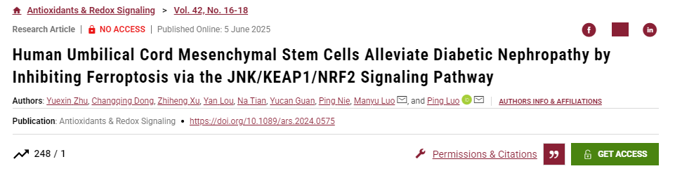 人臍帶間充質干細胞通過JNK/KEAP1/NRF2信號通路抑制鐵死亡緩解糖尿病腎病