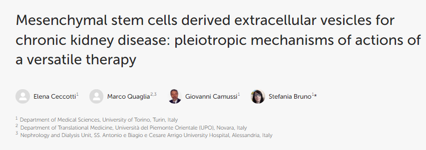 間充質干細胞衍生的細胞外囊泡用于治療慢性腎臟病:多功能療法的多效作用機制 間充質干細胞衍生的細胞外囊泡用于治療慢性腎臟病:多功能療法的多效作用機制