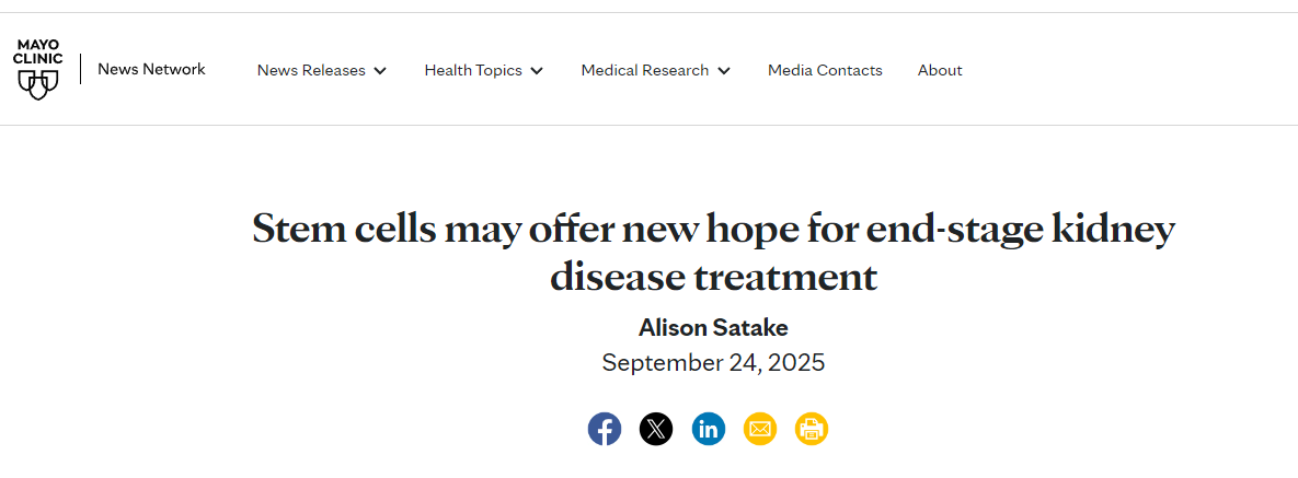 干細胞療法或將為終末期腎病治療帶來新的希望 干細胞療法或將為終末期腎病治療帶來新的希望