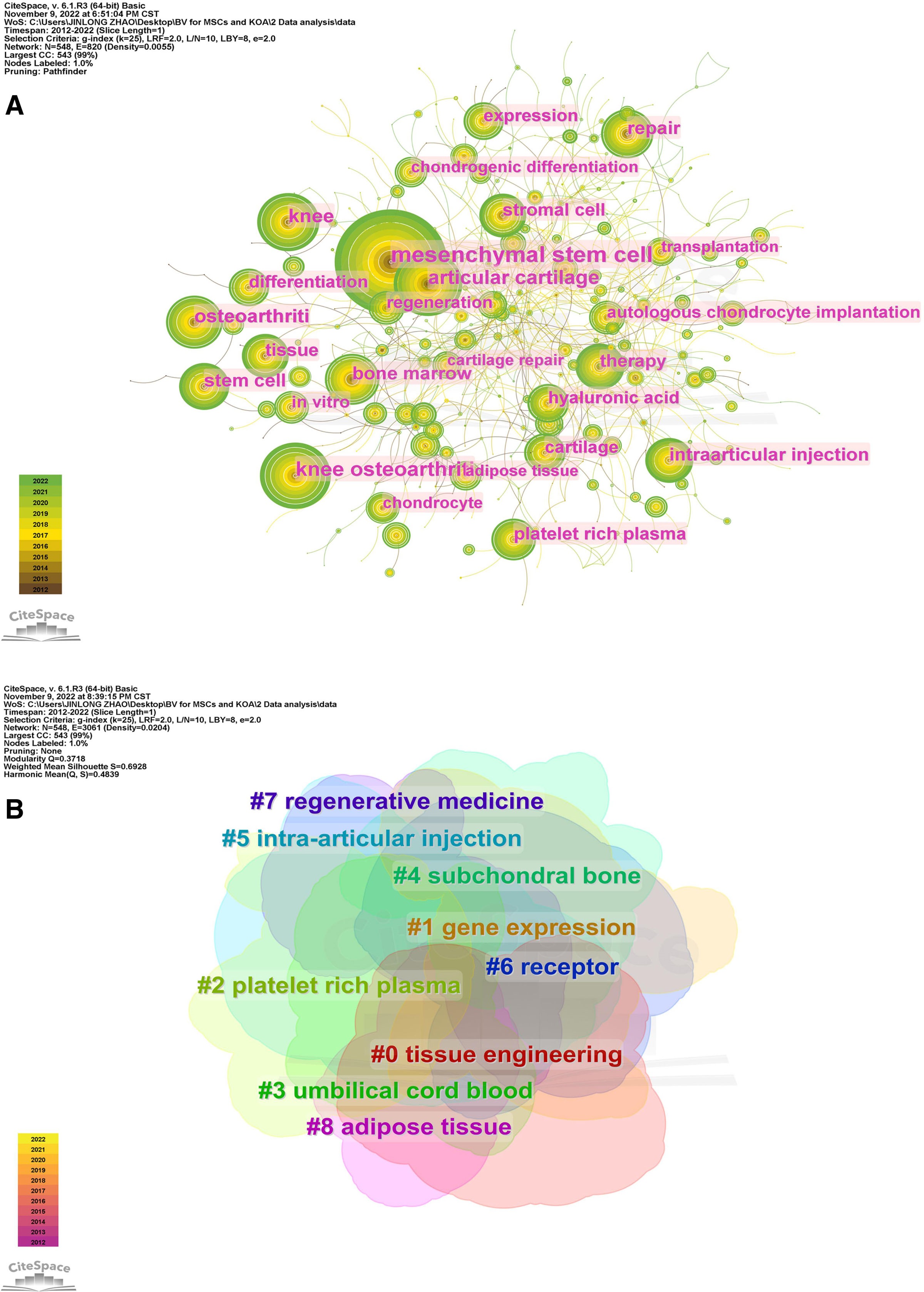 圖5:CiteSpace可視化MSCs與KOA研究的關鍵詞。(B)關鍵詞聚類分析。 圖5:CiteSpace可視化MSCs與KOA研究的關鍵詞。(B)關鍵詞聚類分析。