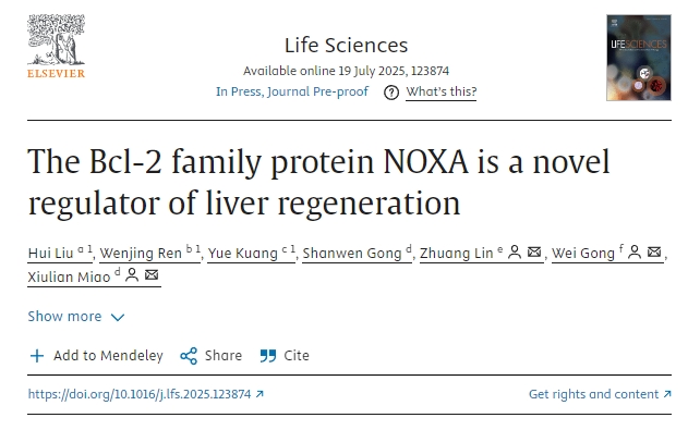 Bcl-2家族蛋白NOXA是一種新型的肝臟再生調節劑