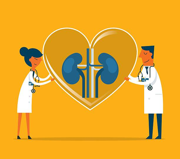 慢性腎病治療指南:7種最新治療方法突破(截至2025年7月) 慢性腎病治療指南:7種最新治療方法突破(截至2025年7月)