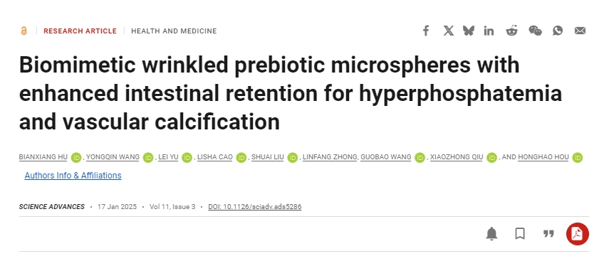 仿生皺紋益生元微球增強(qiáng)腸道保留,用于治療高磷血癥和血管鈣化 仿生皺紋益生元微球增強(qiáng)腸道保留,用于治療高磷血癥和血管鈣化