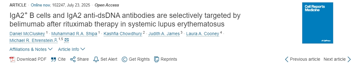 利妥昔單抗治療系統(tǒng)性紅斑狼瘡后，貝利木單抗可選擇性靶向IgA2 + B 細(xì)胞和 IgA2 抗 dsDNA 抗體