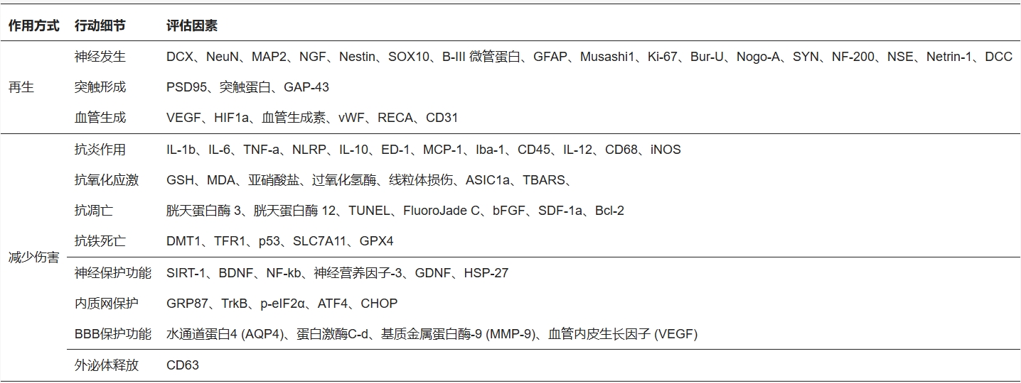表2：干細胞移植促進神經(jīng)再生和血管新生的機制