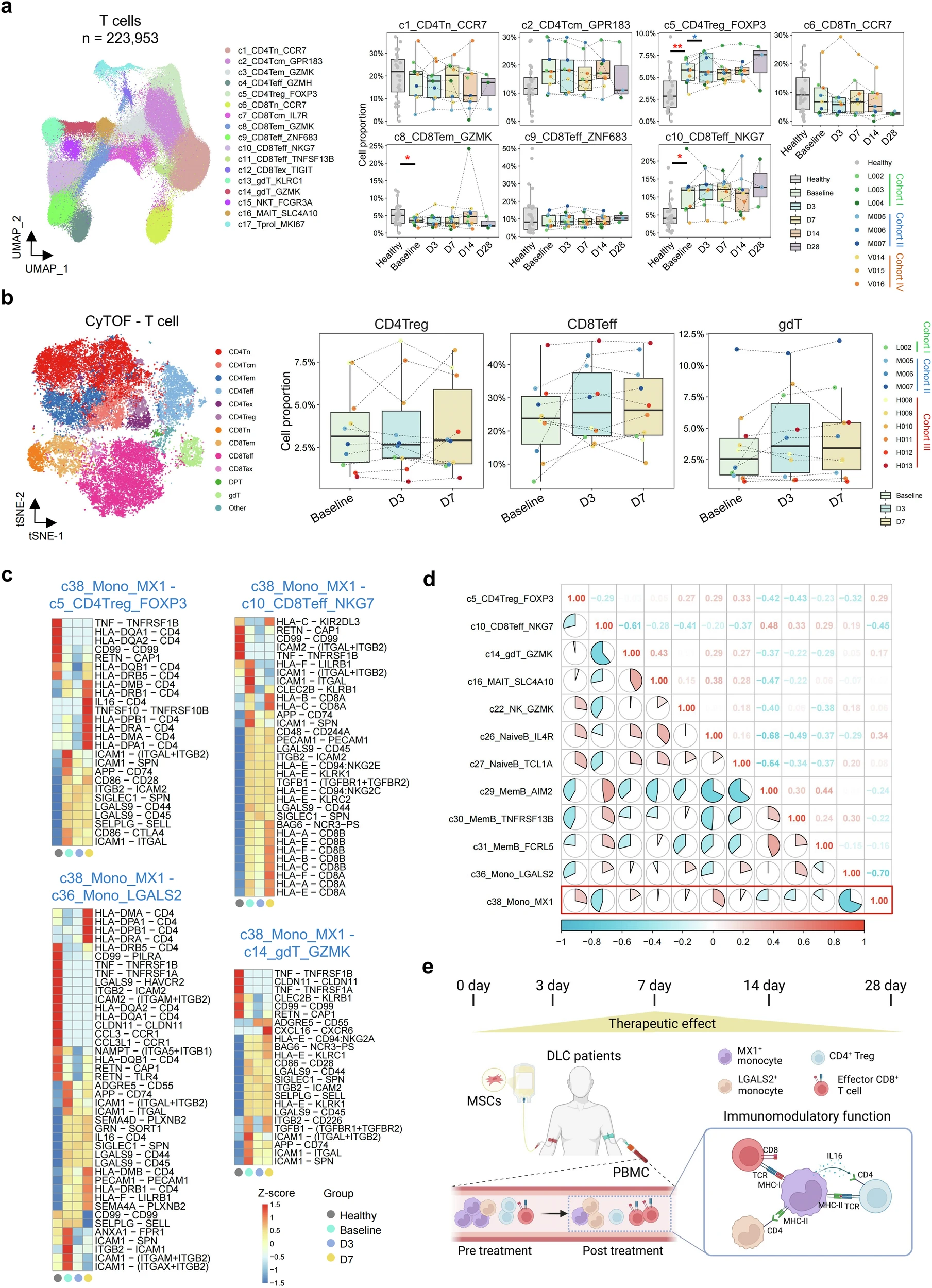 圖4：MSC治療下DLC患者中其他免疫細胞的變化及其與單核細胞的相互作用。