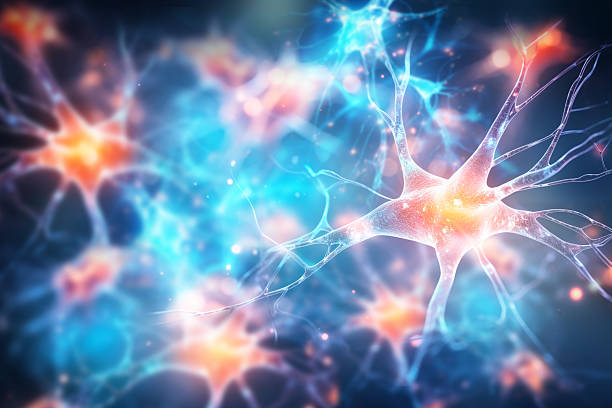 神經干細胞移植能治療哪些疾病？包含帕金森、脊髓損傷等6大適應癥