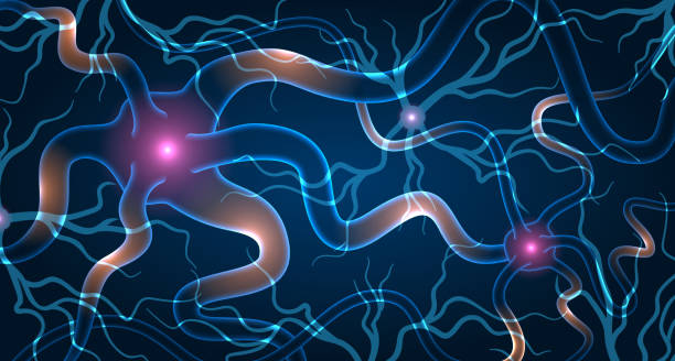 神經干細胞移植效果如何？2025最新臨床進展與患者案例深度解析