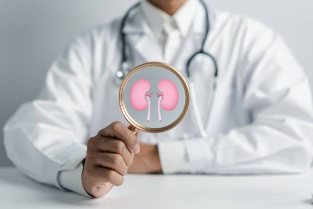 動脈內輸注間充質干細胞治療糖尿病腎病,腎功能衰退顯著減緩 動脈內輸注間充質干細胞治療糖尿病腎病,腎功能衰退顯著減緩