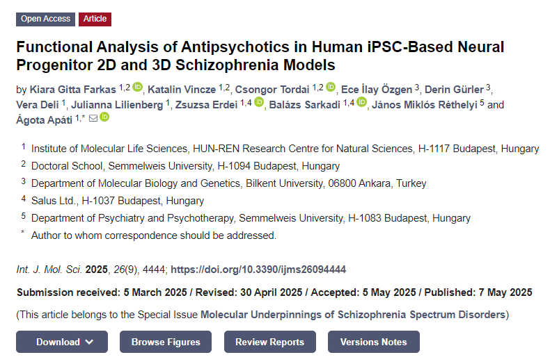 抗精神病藥物在基于人類 iPSC 的神經祖細胞2D和3D精神分裂癥模型中的功能分析