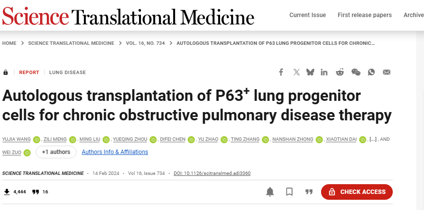 左為教授團(tuán)隊(duì)與鐘南山院士等合作肺前體細(xì)胞治療慢阻肺臨床研究成果登上《科學(xué)-轉(zhuǎn)化醫(yī)學(xué)》