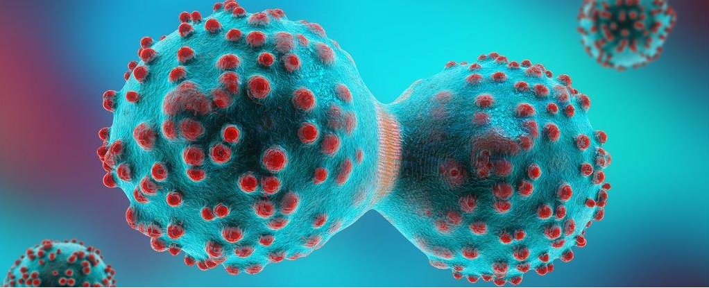 腫瘤治療 腫瘤治療