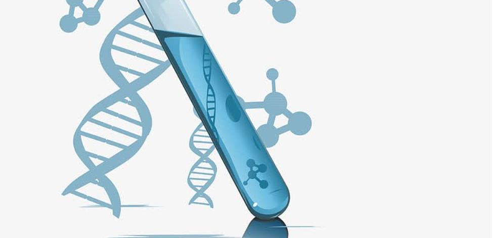 干細胞治療安全嗎?20年臨床數據揭秘靜脈輸注間充質干細胞的安全性 干細胞治療安全嗎?20年臨床數據揭秘靜脈輸注間充質干細胞的安全性