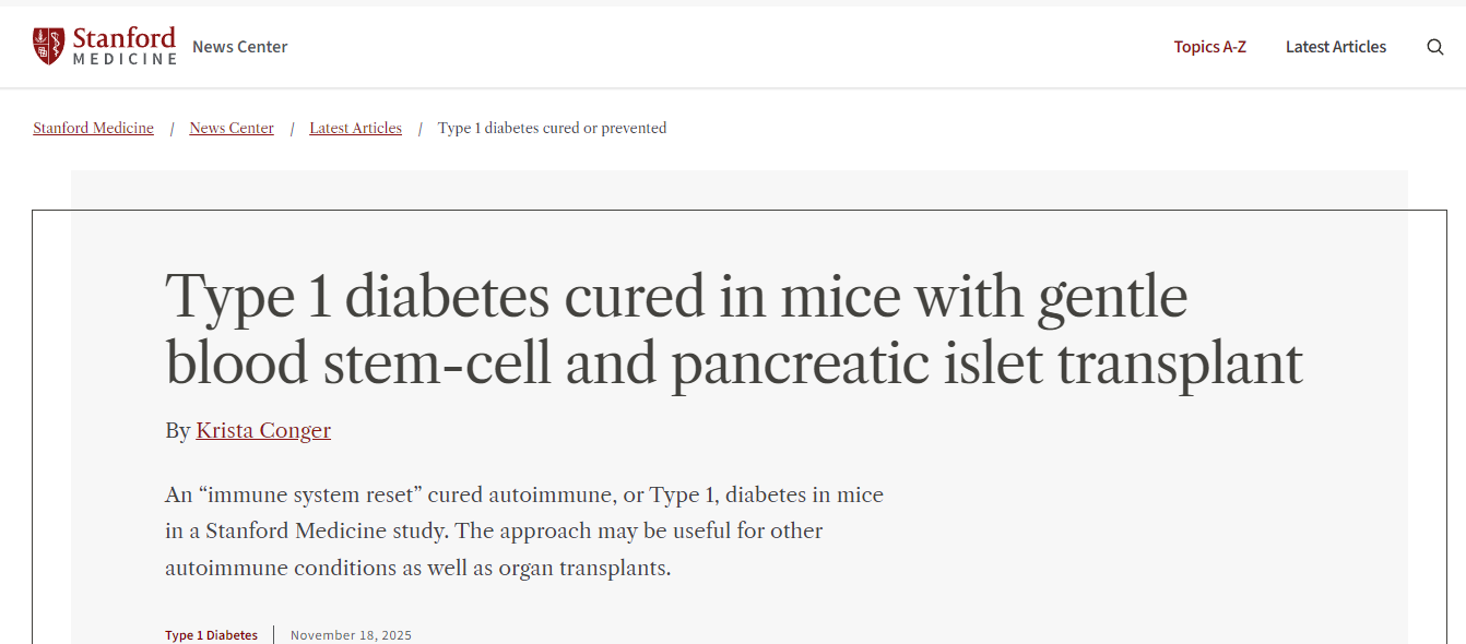 通過溫和的血液干細(xì)胞和胰島移植，小鼠的1型糖尿病得以治愈。